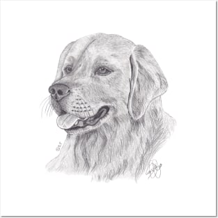 GOLDEN RETRIEVER Posters and Art